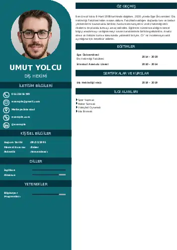 Diş Hekimi cv indir